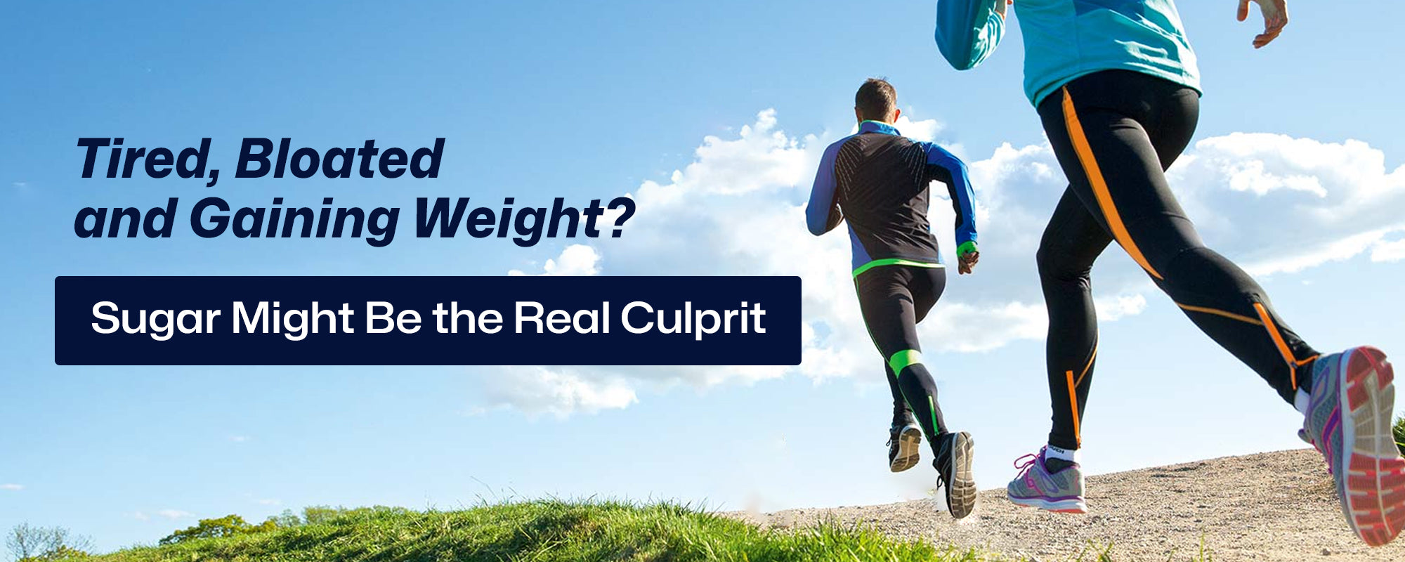 Tired, Bloated, and Gaining Weight? Sugar Might Be the Real Culprit